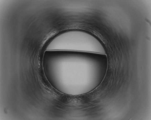 X0000091880731200709051014
