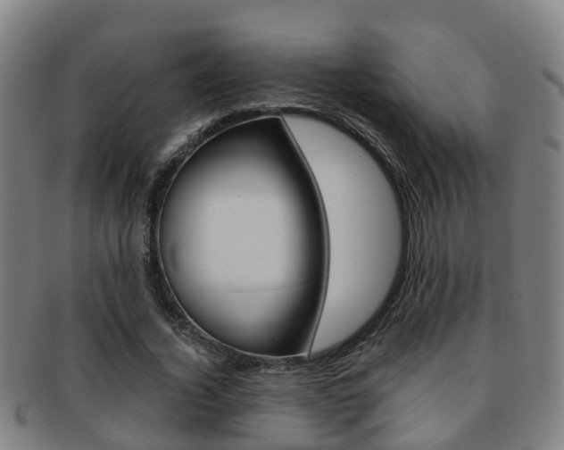 X0000091880732200709051014