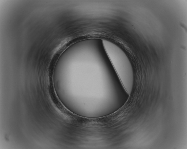X0000091880734200709051014