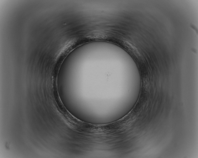 X0000091880735200709051014