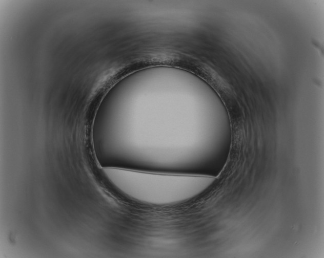 X0000091880736200709051014