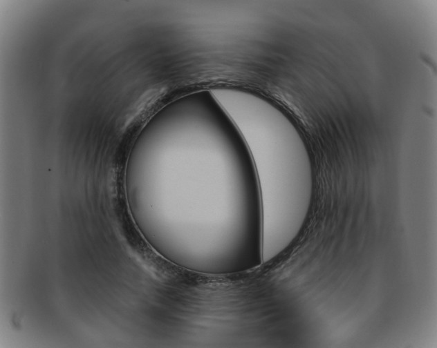 X0000091880738200709051014