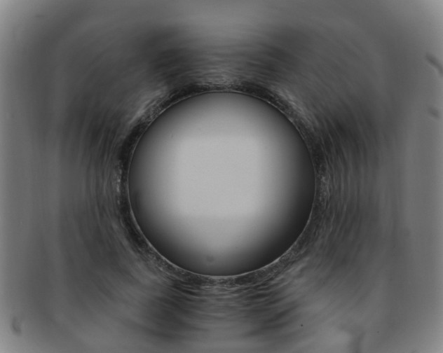 X0000091880739200709051014
