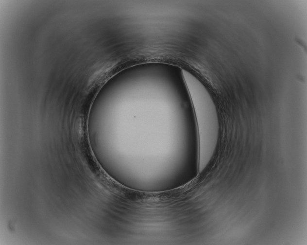 X0000091880740200709051014