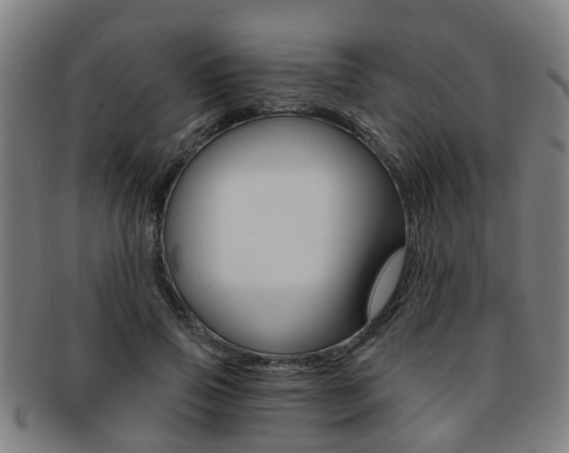 X0000091880741200709051014