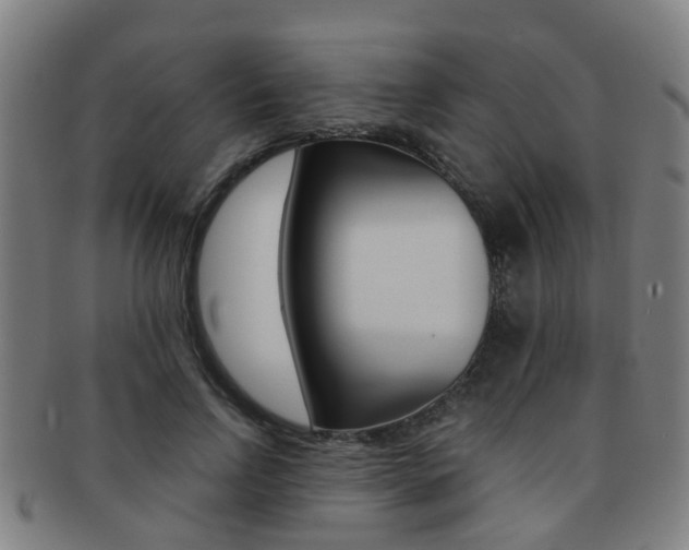 X0000091880742200709051014