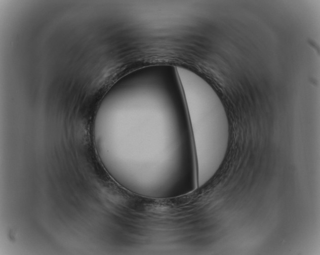 X0000091880743200709051014