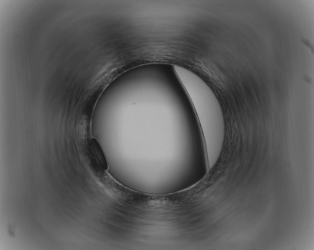 X0000091880744200709051014