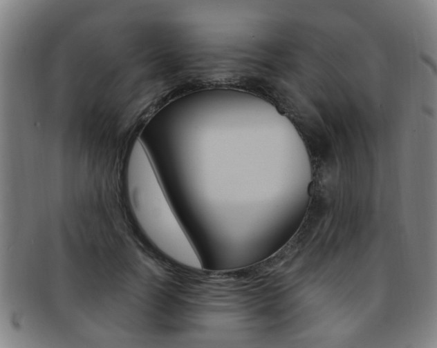 X0000091880746200709051014