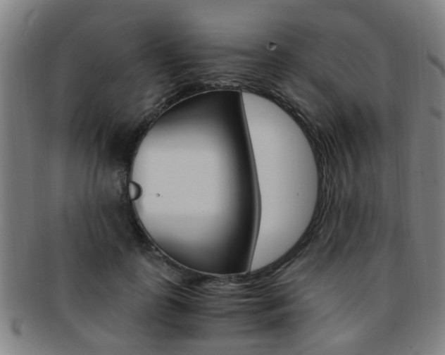 X0000091880747200709051014