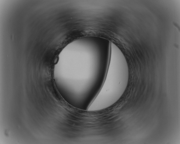 X0000091880751200709051014