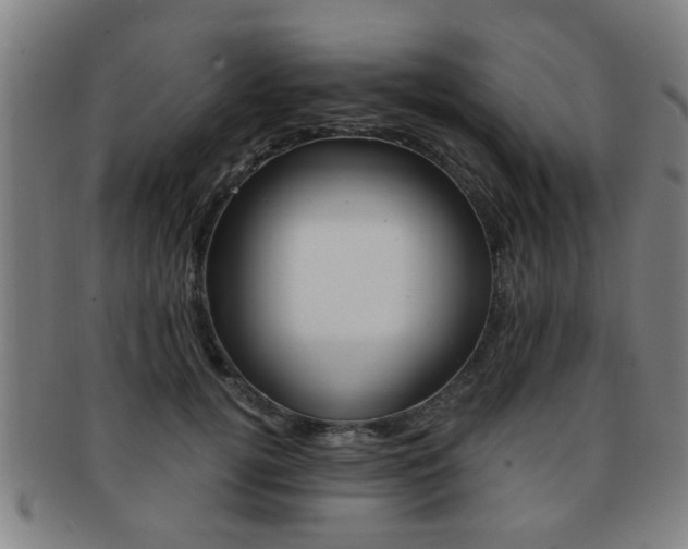 X0000091880752200709051014