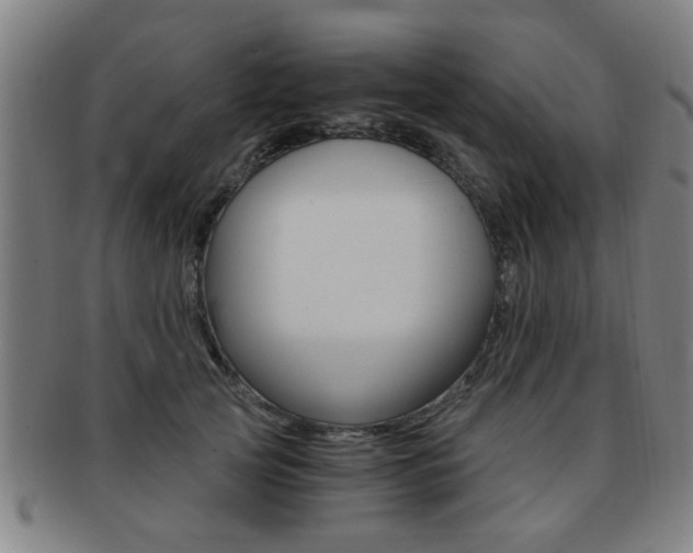 X0000091880753200709051014