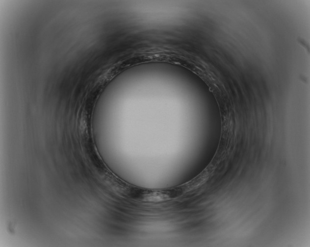 X0000091880754200709051014