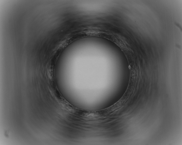 X0000091880755200709051014