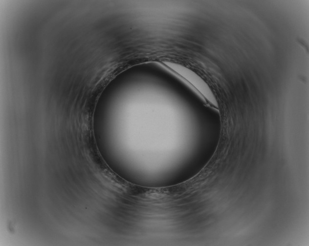 X0000091880756200709051014