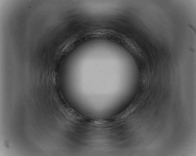 X0000091880758200709051014
