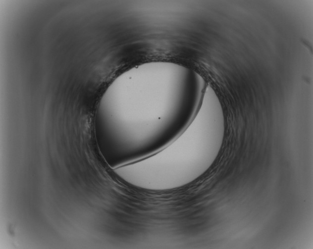 X0000091880759200709051014