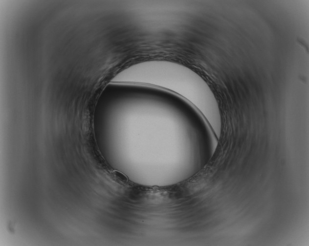 X0000091880760200709051014