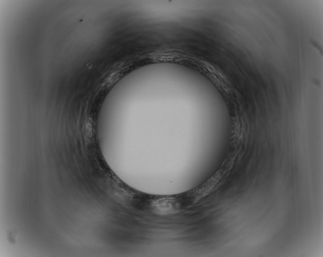 X0000091880761200709051014