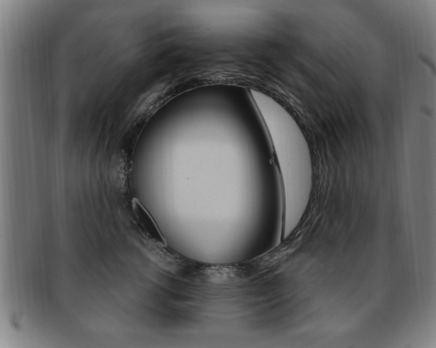 X0000091880762200709051014