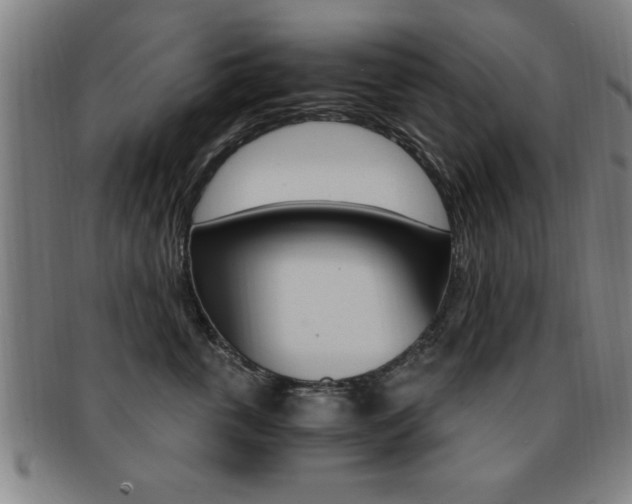 X0000091880763200709051014
