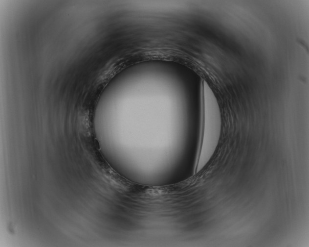X0000091880764200709051014