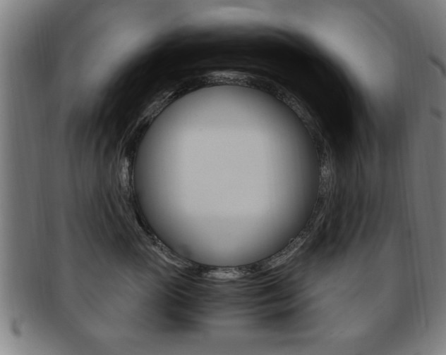 X0000091880765200709051014