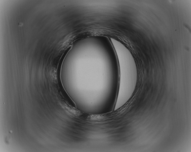 X0000091880766200709051014
