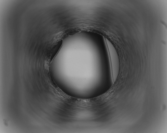 X0000091880768200709051014