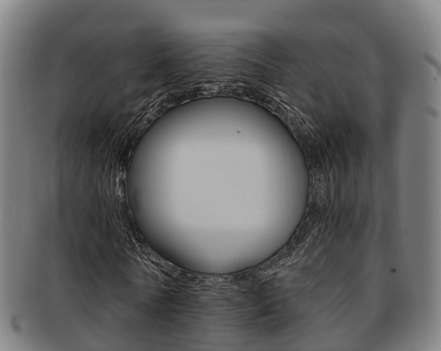 X0000091880770200709051014