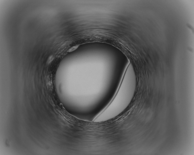 X0000091880771200709051014