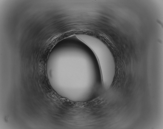 X0000091880773200709051014