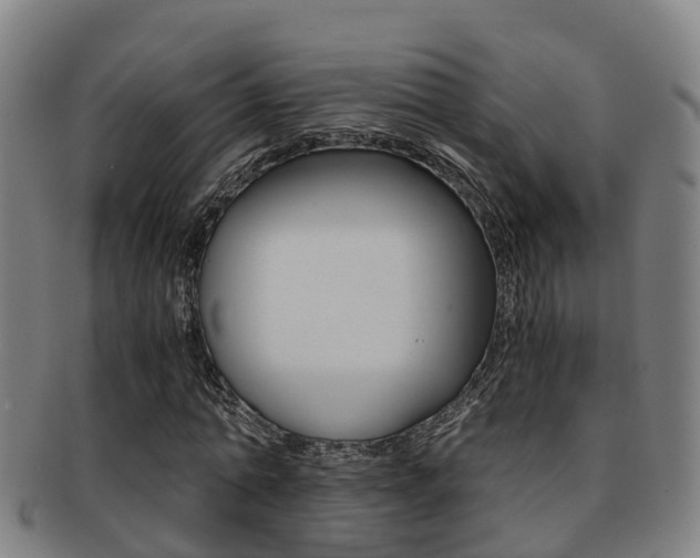 X0000091880774200709051014
