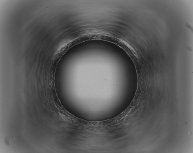 X0000091880775200709051014