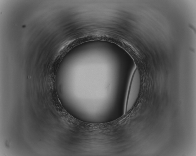 X0000091880776200709051014