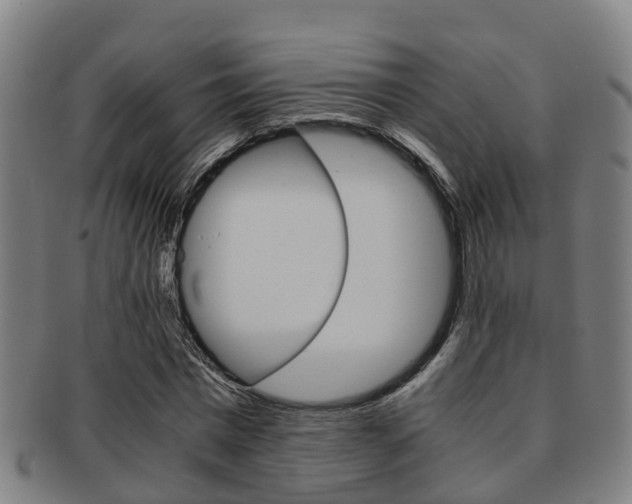 X0000091880777200709051014