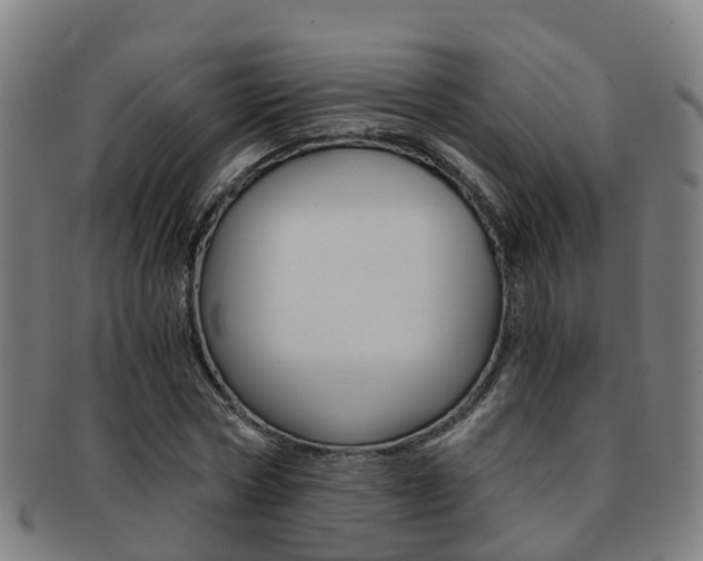 X0000091880778200709051014