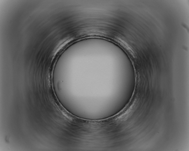 X0000091880782200709051014