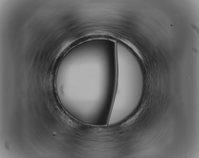 X0000091880783200709051014