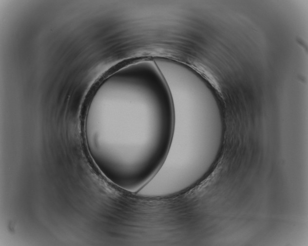 X0000091880784200709051014