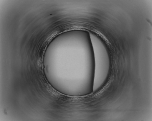 X0000091880785200709051014