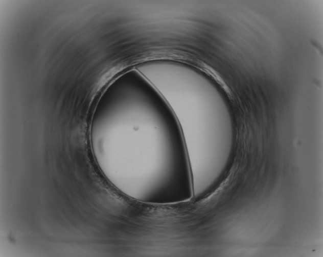 X0000091880786200709051014