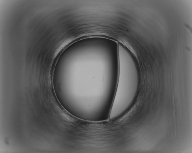 X0000091880789200709051014