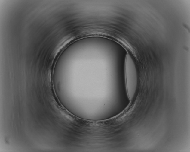 X0000091880790200709051014