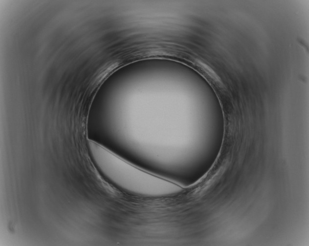 X0000091880793200709051014