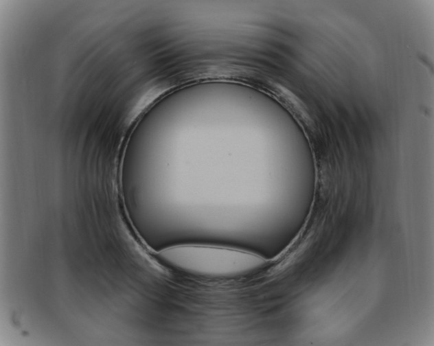 X0000091880794200709051014