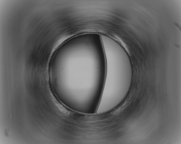 X0000091880795200709051014