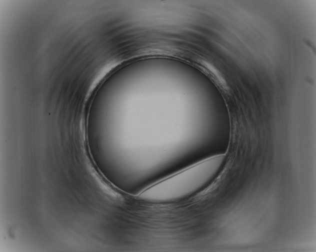 X0000091880796200709051014