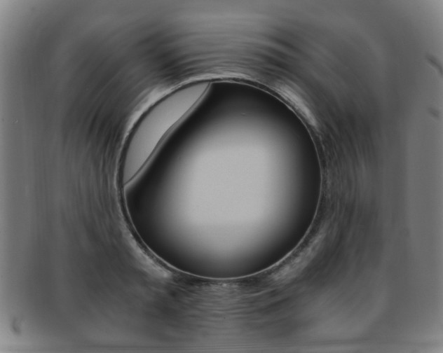 X0000091880797200709051014